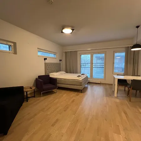 公寓 Saunallinen Keskustayksioe Ja Ilmainen Yksityinen Parkkipaikka 图尔库